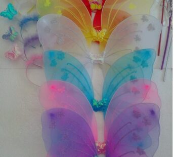 Butterfly Fairy Angel Wings Set