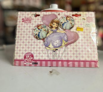 Disney Princess Cinderella
